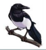 0201c0gj-6987-95x104.png