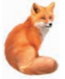 0201c0jg-7c8f-65x79.png