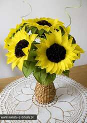 0201c0x6-45a0-174x247.jpg