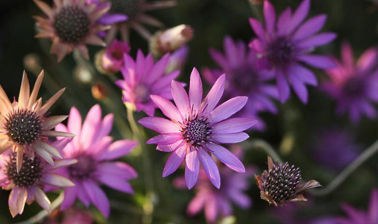 0201c256-121d-770x457.jpg