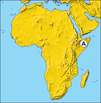 0201c2b2-e9e0-352x360.png