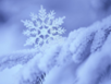 0201c2l1-4015-118x89.png
