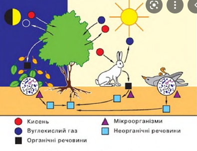 0201c2t5-eb8a-395x303.png