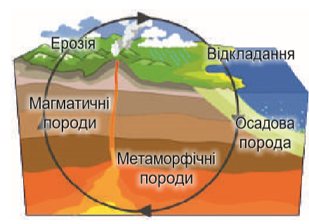 Закономірності розвитку географічної оболонки | Тест на 10 запитань. Географія