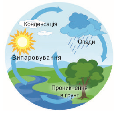 0201c2vk-0123-432x428.png