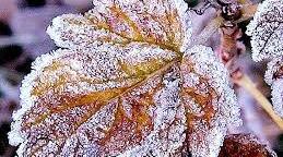 Зміна агрегатних станів (рівень А)