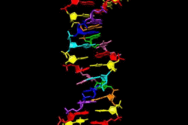 0201c3rw-5b38-188x125.png