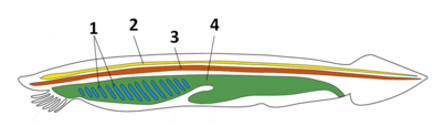 0201c53y-87a9-403x114.png