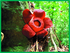 0201c608-4d73-237x178.png