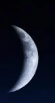 0201c632-9043-78x145.png