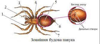 0201caw4-f24c-335x150.jpg