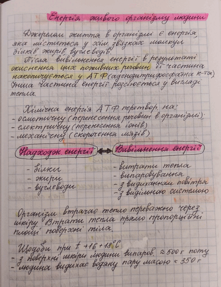 0201ccnn-efab-717x930.png