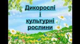 Дикорослi та культурнi рослини