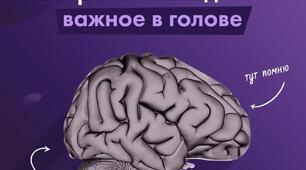 Как научиться вовремя находить информацию в своей голове