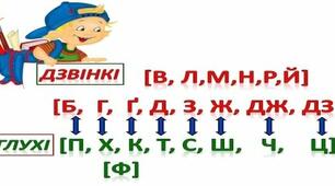 Приголосні тверді й м'які, дзвінкі й глухі