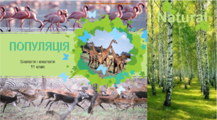 Презентація "Популяція. Характеристика популяцій"