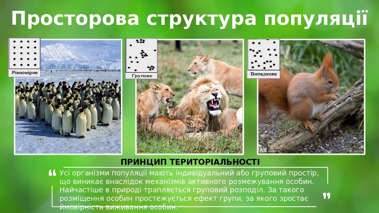 Просторова структура популяції ПРИНЦИП ТЕРИТОРІАЛЬНОСТІ Усі організми популяції мають індивідуальний або груповий простір, що виникає внаслідок мех...