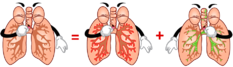 0201ckmm-a054-233x67.png