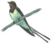 0201cl4c-b2ec-165x141.png