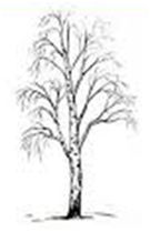 0201claj-8670-135x209.png