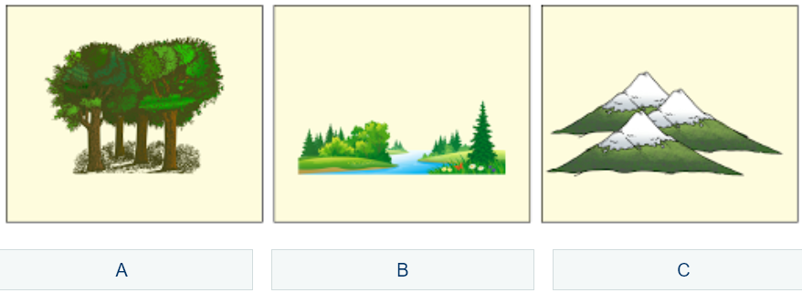 0201cog4-8a2d-878x321.png