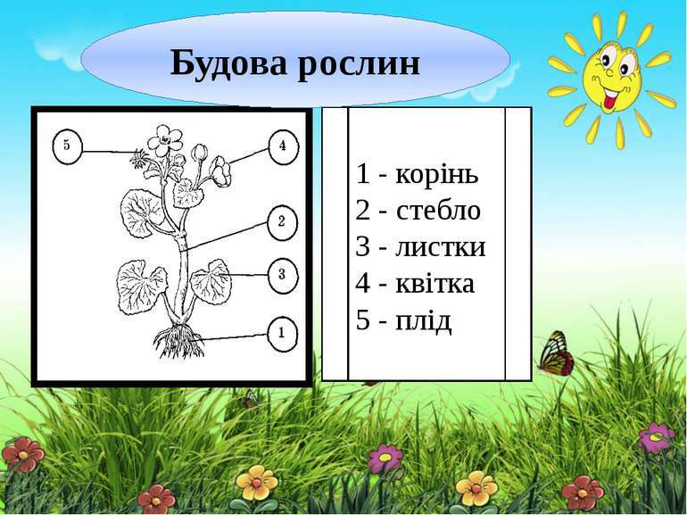 Рослини - живі організми - презентація з біології