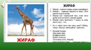 Твір-опис тварини в художньому стилі