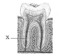 0201cqml-c6e3-200x187.jpg