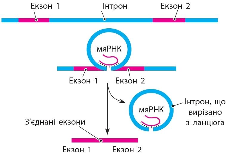 0201cqrp-6959-758x520.jpg