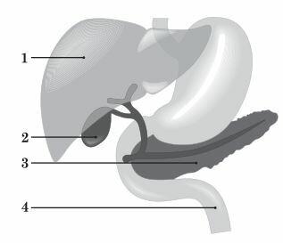 0201cqyn-7b4b-317x273.jpg