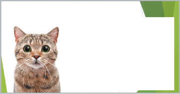 0201cr68-0c2c-625x329.png