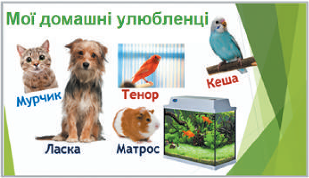 0201cr70-244e-628x361.png