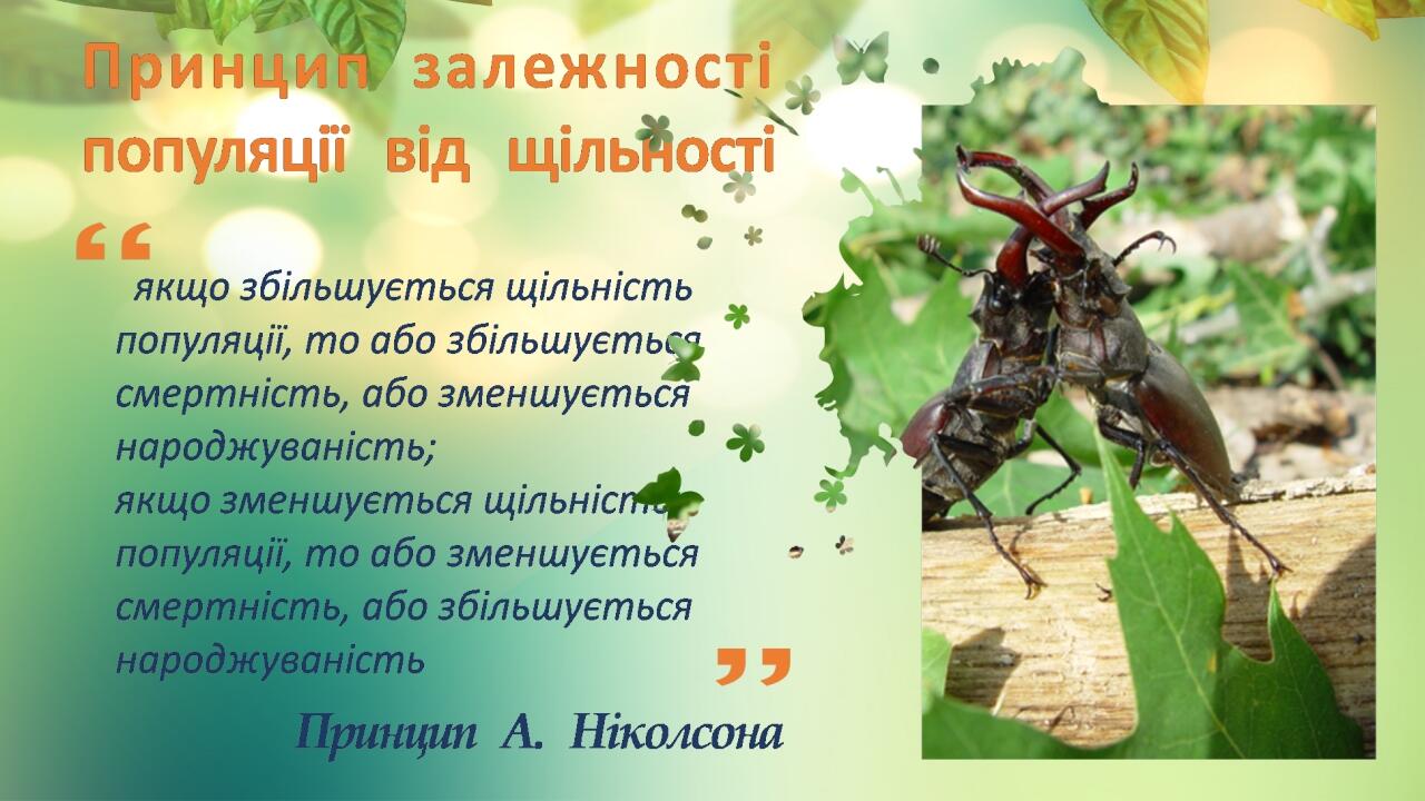 Your Picture Here