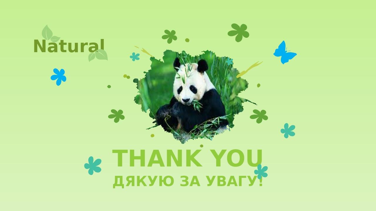 Thank You Дякую за увагу! Natural