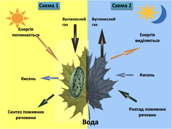 0201cuvl-ac79-599x450.png