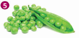 0201cv4l-8f82-261x127.png