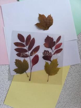 0201cxf9-6183-310x413.jpg