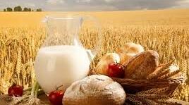 Сільське господарство України та світу