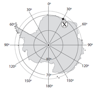 0201cyp8-1437-332x307.png
