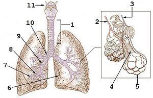 0201czv6-4493-300x192.jpg
