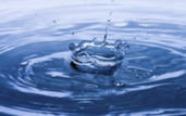 0201d0om-f9e1-171x107.png