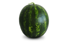 0201d1pt-9140-220x145.png