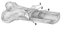 0201d297-99ce-250x120.png