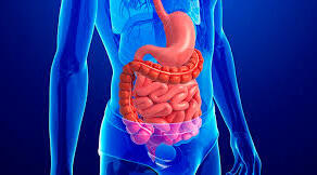 Спостереження і догляд за пацієнтами з порушеннями функцій травного каналу