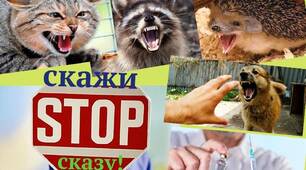 Брошура. Що ви маєте знати про сказ?