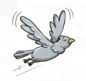 0201d5ry-9598-125x118.png