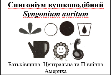 0201d6ec-ed15-377x256.png