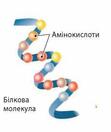 Білки. Структурна організація білків » mozok.click