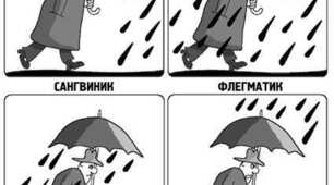 ТИП ТЕМПЕРАМЕНТУ ТА СТИЛЬ ПОВЕДІНКИ