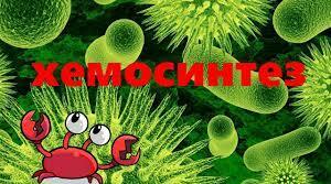 Хемосинтез